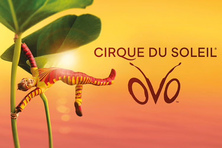 OVO_musicalch_750x500px_Eventkalender.jpg